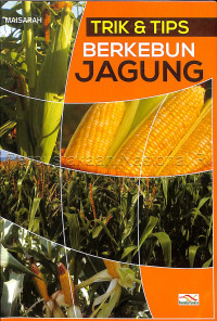 Trik dan tips berkebun jagung