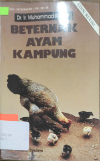 Beternak ayam kampung