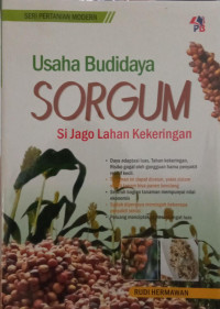 Usaha Budidaya Sorgum Si Jago Lahan Kekeringan